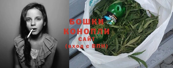 ПСИЛОЦИБИНОВЫЕ ГРИБЫ Балахна