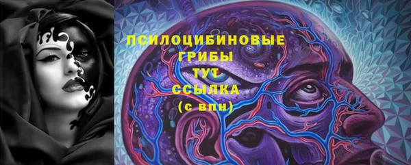ПСИЛОЦИБИНОВЫЕ ГРИБЫ Балахна