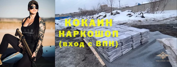 apvp Сосновоборск