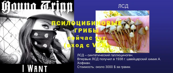 таблы Сосновка
